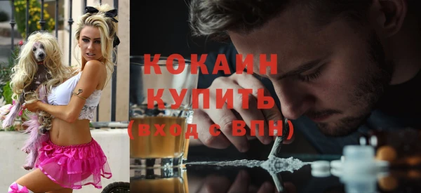 ешки Медногорск