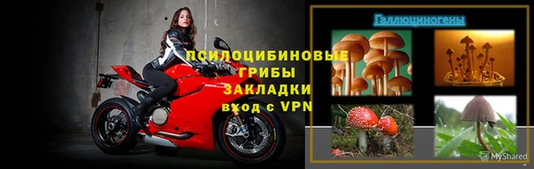 ешки Медногорск