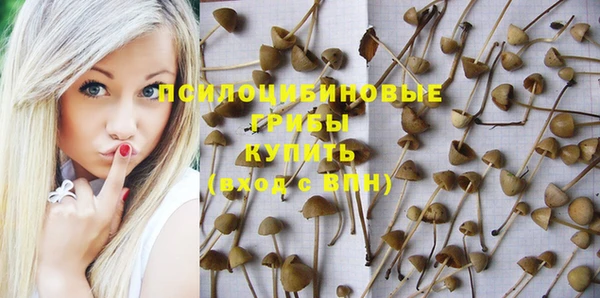 гашик Медвежьегорск
