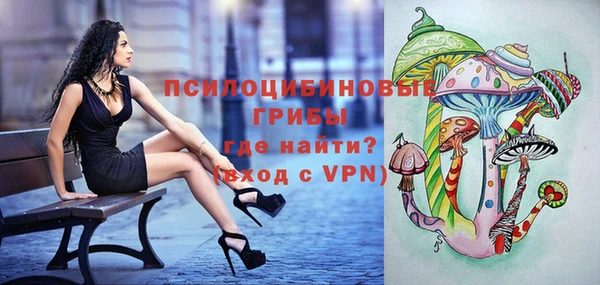 гашик Медвежьегорск