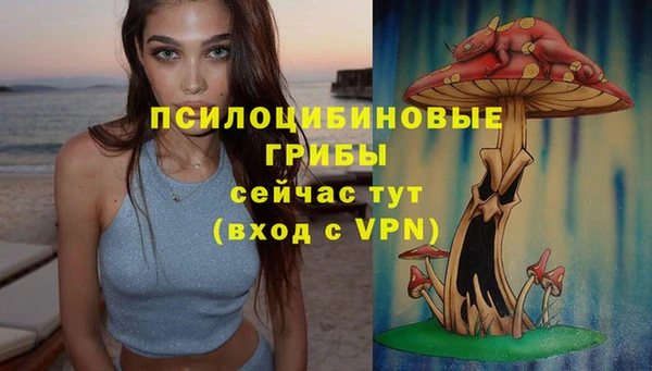 ешки Медногорск